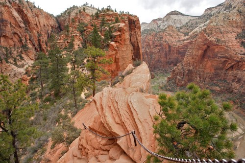 A narrow, rocky trail with a chain railing, surrounded by towering red cliffs and green trees in a canyon landscape.
