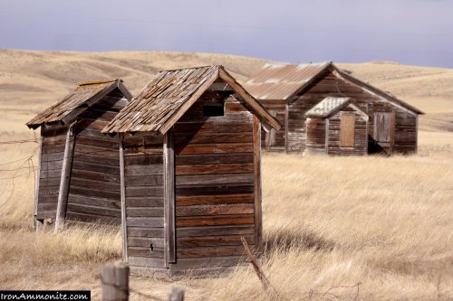 Two weathered wooden outhouses stand in a grassy field, with a dilapidated barn in the background under a cloudy sky.