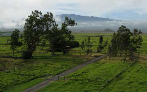 A lush green landscape with trees, a dirt path, and mountains in the background under a cloudy sky.