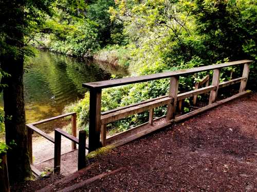 A wooden railing leads to a serene riverbank surrounded by lush greenery and trees.