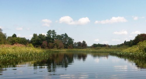 A serene river scene with lush greenery and trees under a blue sky with fluffy clouds, reflecting in the water.
