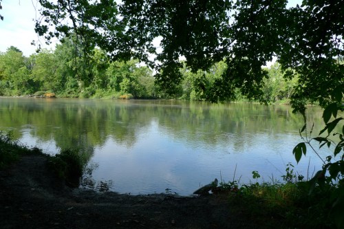 A serene lake surrounded by lush greenery, reflecting trees and a clear sky.