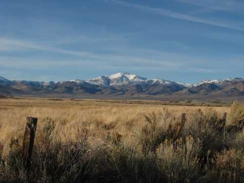 A vast landscape featuring golden grasslands and snow-capped mountains under a clear blue sky.