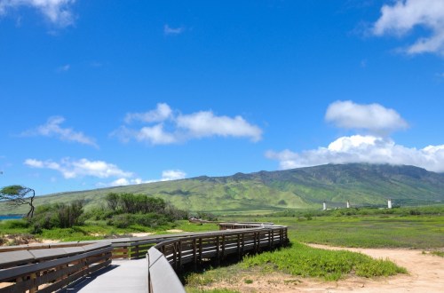 A wooden walkway leads through lush green fields under a bright blue sky with fluffy clouds and distant mountains.