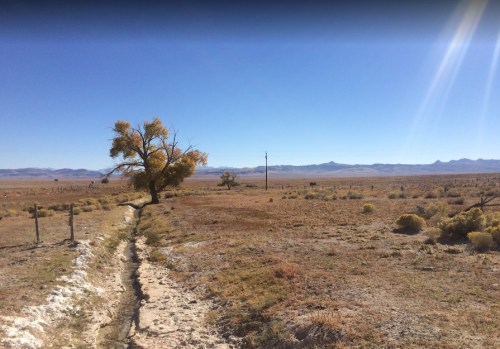 A dirt path leads through a sparse landscape with a lone tree and distant mountains under a clear blue sky.