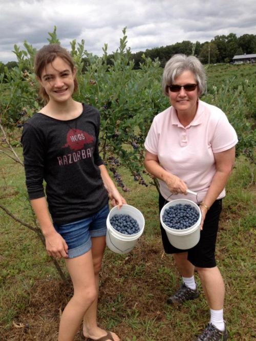 A young girl and an older woman hold buckets of freshly picked blueberries in a field.
