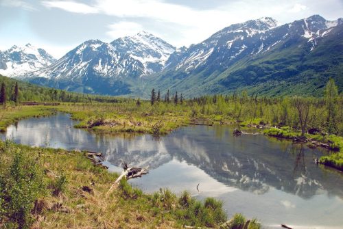 A serene landscape featuring a calm river, lush greenery, and snow-capped mountains under a clear blue sky.