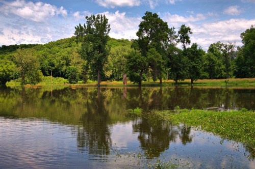 A serene landscape featuring a calm, reflective lake surrounded by lush green trees and a blue sky with scattered clouds.