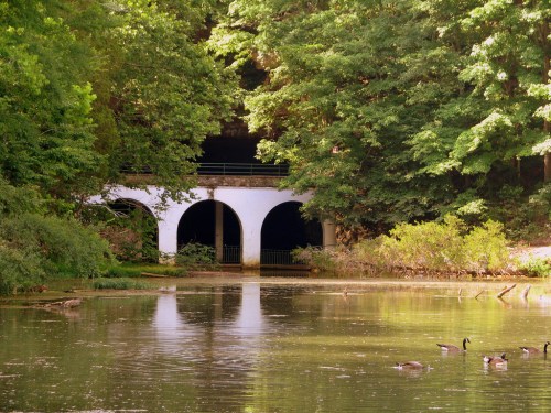 A serene pond surrounded by lush greenery, featuring a white archway and ducks swimming peacefully.