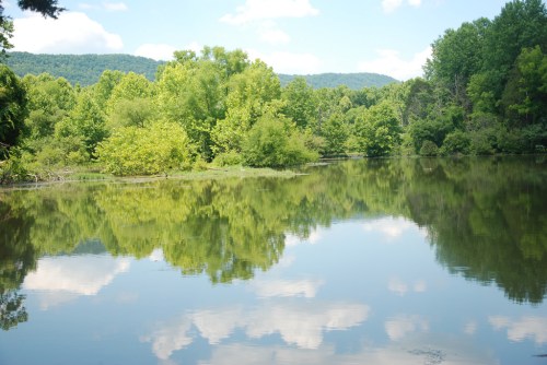 A serene lake surrounded by lush green trees, reflecting the blue sky and clouds above.