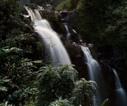 A serene waterfall cascading down rocky terrain, surrounded by lush green foliage.