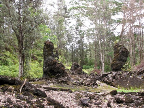 Lava rock formations rise among lush greenery in a forested area, surrounded by trees and underbrush.