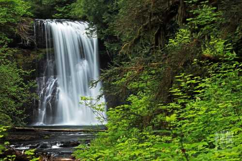 A serene waterfall cascades down rocky cliffs, surrounded by lush green foliage and trees.