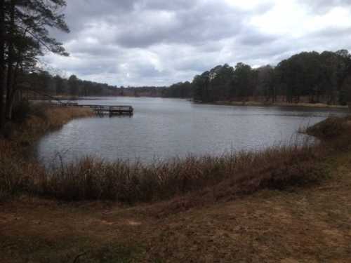 A serene lake surrounded by trees and tall grass, with a wooden dock extending into the water under a cloudy sky.