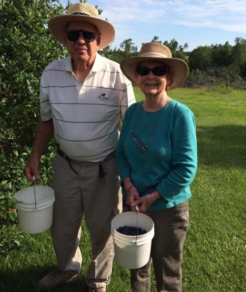 An elderly couple stands in a field, each holding a bucket of blueberries, wearing hats and smiling.