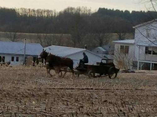 A horse pulls a cart with a person seated, set against a rural landscape with houses and fields.