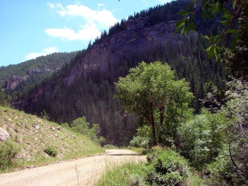 A dirt road winds through a lush green landscape, flanked by trees and a rocky hillside under a blue sky.