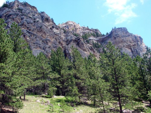 A rocky mountain landscape with tall pine trees in the foreground under a clear blue sky.