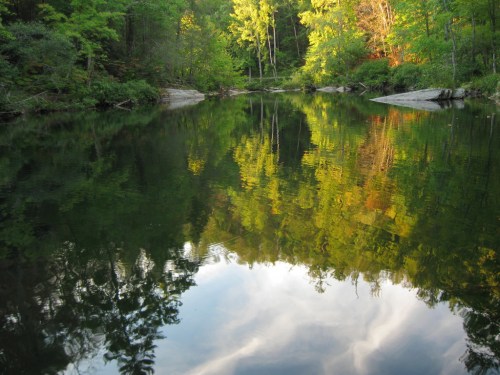 A serene lake reflecting vibrant green trees and a colorful sky, surrounded by lush forest.