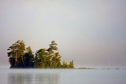 A serene, misty landscape featuring a small island with trees reflected in calm water.