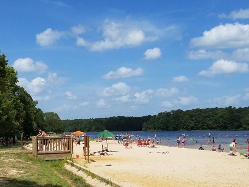 A sunny beach scene with people relaxing on the sand and swimming in the water, surrounded by trees and blue skies.