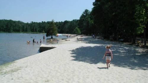 A sandy beach by a lake with people swimming and relaxing under trees on a sunny day.