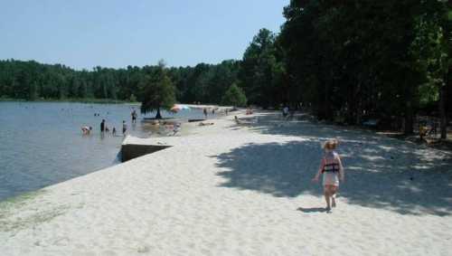 A sandy beach by a lake with people swimming and relaxing under trees on a sunny day.