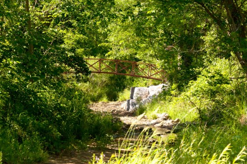 A small bridge spans a creek surrounded by lush greenery and trees in a serene natural setting.