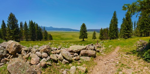 A panoramic view of a lush green valley surrounded by trees and rocky terrain under a clear blue sky.