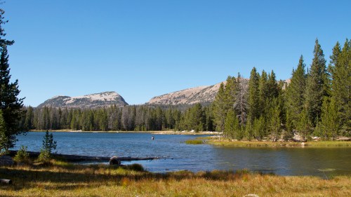 A serene lake surrounded by green trees and mountains under a clear blue sky.