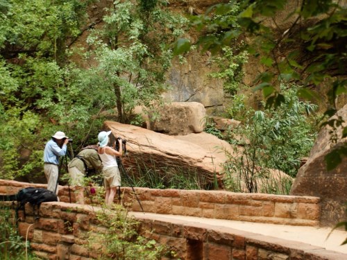 Two hikers take photos in a lush, green landscape with large rocks and a stone pathway.