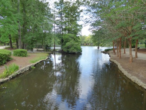 A serene park scene featuring a calm pond surrounded by lush greenery and trees under a clear blue sky.