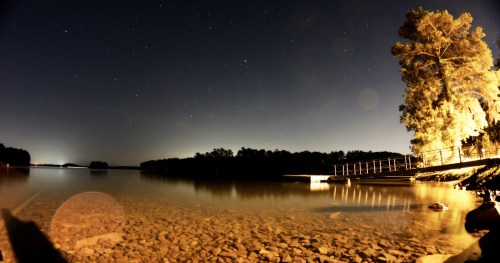 A serene night scene by a calm lake, with stars above and a tree illuminated on the shore.