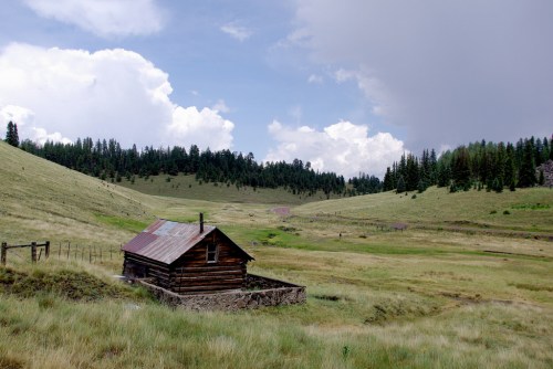 alt