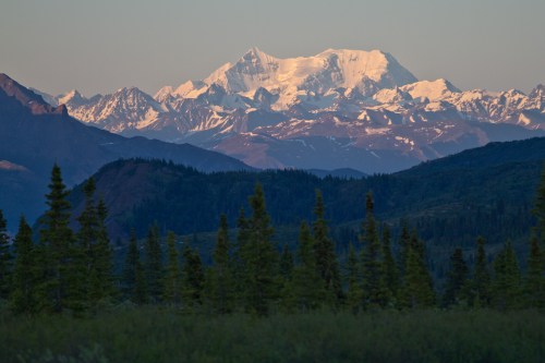 Snow-capped mountain peaks rise above a forest of evergreen trees under a clear sky at sunset.