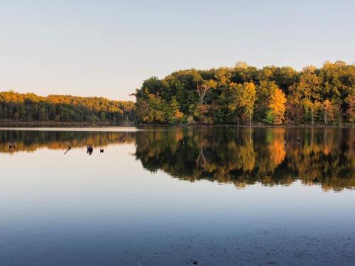 A serene lake reflecting colorful autumn trees on the shore under a clear sky.