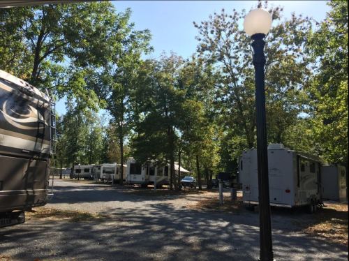 A view of a campsite with several RVs parked among trees, featuring a lamp post in the foreground.