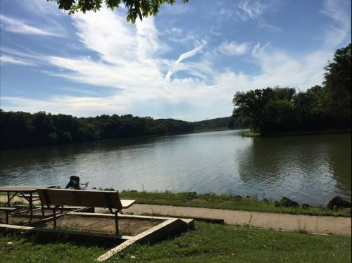 A serene river scene with a bench by the water, surrounded by lush greenery and a blue sky with wispy clouds.