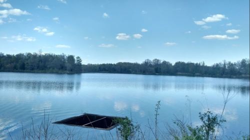 A calm lake with a partially submerged structure, surrounded by trees and a clear blue sky with scattered clouds.