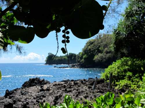 Lush greenery frames a rocky coastline with clear blue water and distant hills under a bright sky.