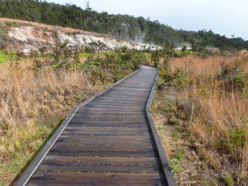 A winding wooden boardwalk through a grassy landscape with sparse trees and a distant hillside.