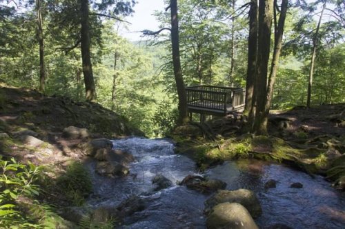A serene forest scene with a stream flowing through rocks, leading to a wooden viewing platform surrounded by trees.