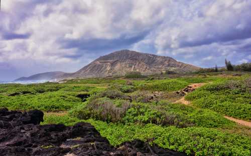 Lush green landscape with a mountain backdrop under a cloudy sky, near a coastline.