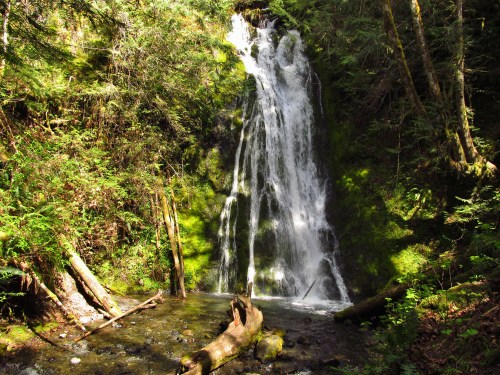 A serene waterfall cascades down moss-covered rocks, surrounded by lush green trees and a tranquil stream below.
