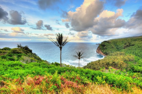 A scenic coastal view featuring lush greenery, palm trees, and a dramatic sky over the ocean.