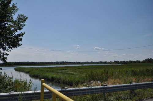 A serene landscape featuring a river winding through lush green fields under a clear blue sky.