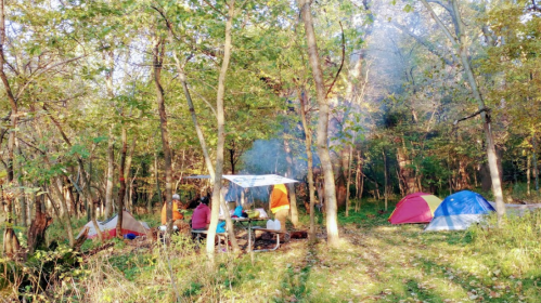 A campsite in a forest with tents, a cooking area, and people gathered around, surrounded by trees and greenery.
