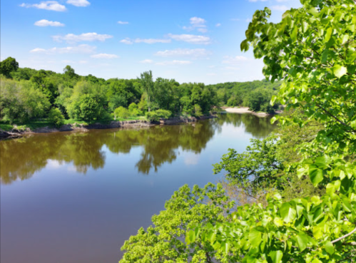 A serene river surrounded by lush green trees under a clear blue sky, reflecting the landscape in calm waters.