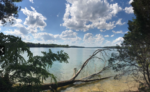 A serene lakeside view with clear water, lush greenery, and fluffy clouds in a blue sky.