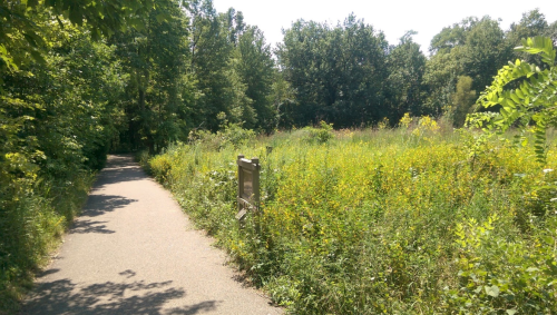 A sunny path through a lush green area with tall grass and trees on either side. A sign is visible along the trail.